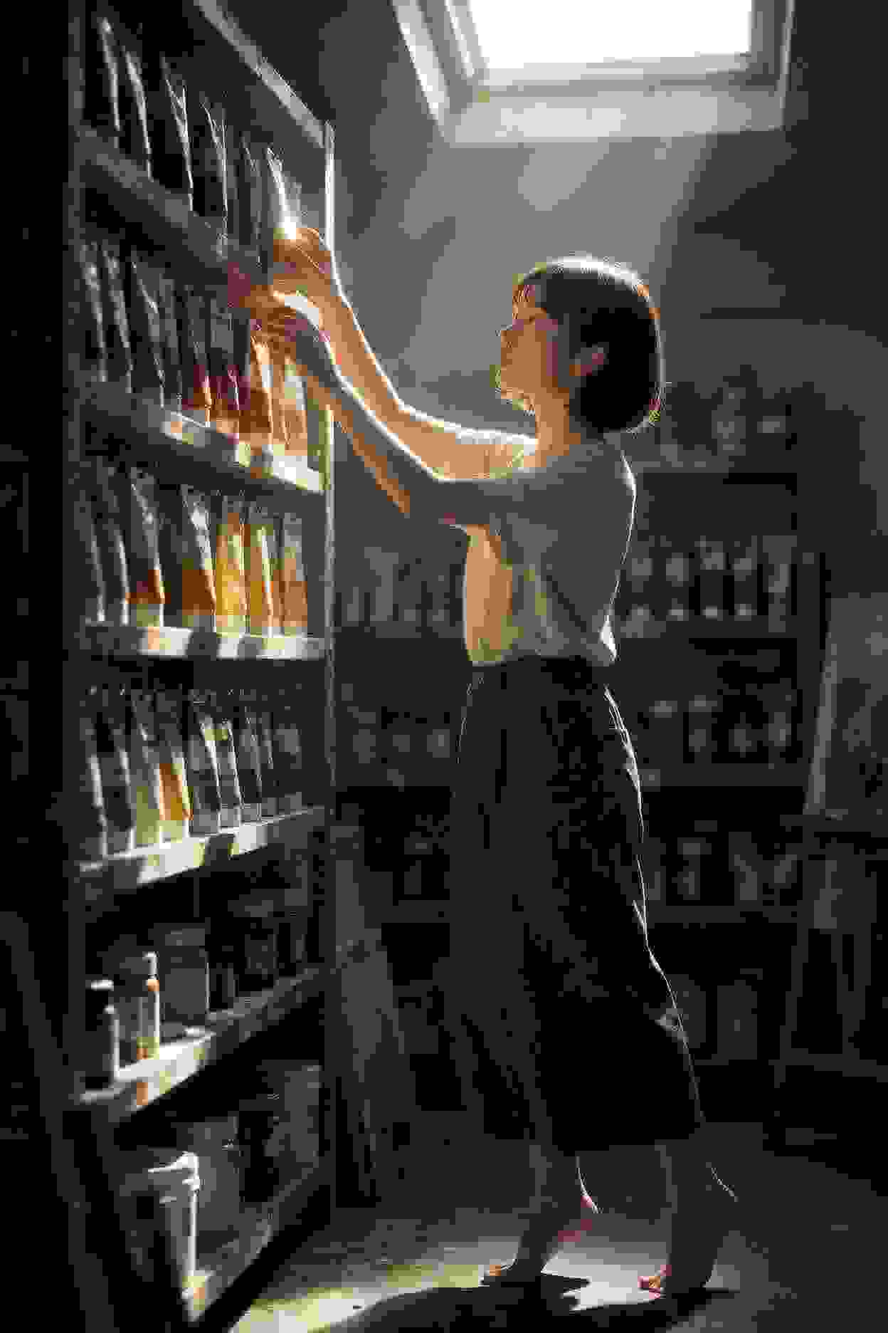 仙途奇缘